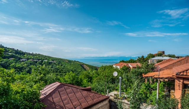 Hotel Dzveli Ubani Signagi Exterior foto