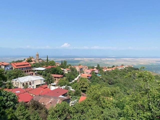 Hotel Dzveli Ubani Signagi Exterior foto